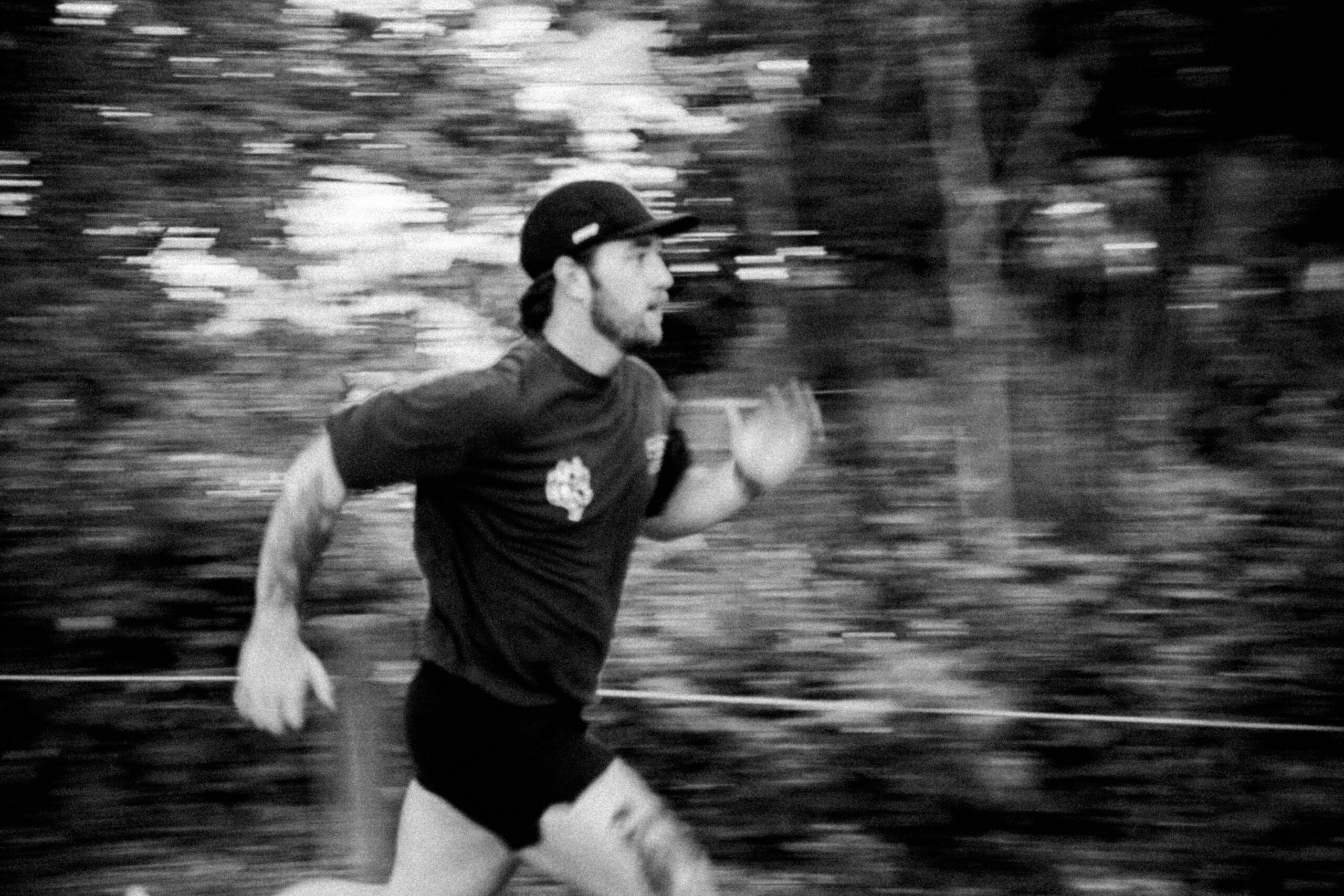 Golden retriever wearing an activity monitor while running outdoors
