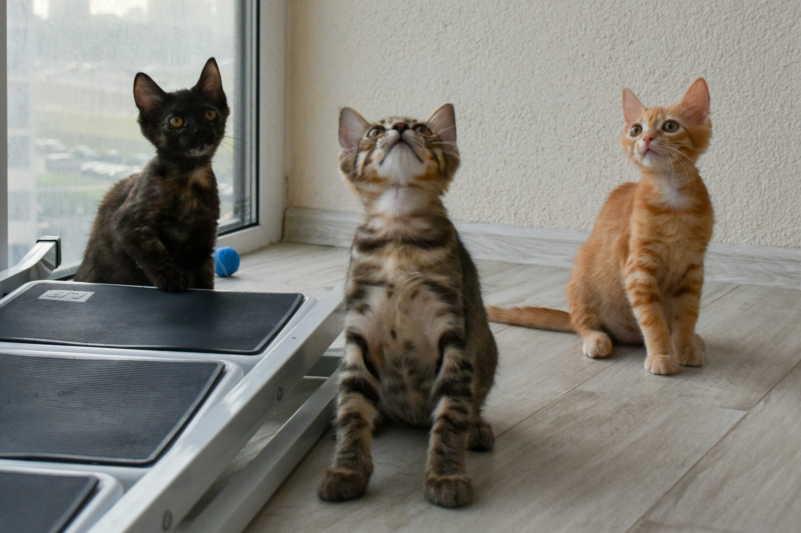 Infographic showing how Multi-Zone Tracking works by mapping activity zones