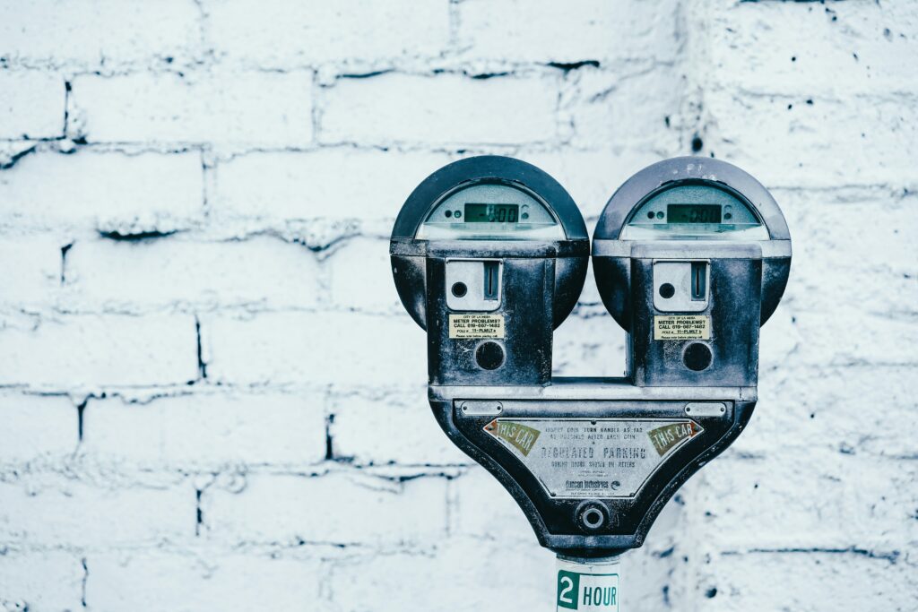 pet wearing heart rate monitor