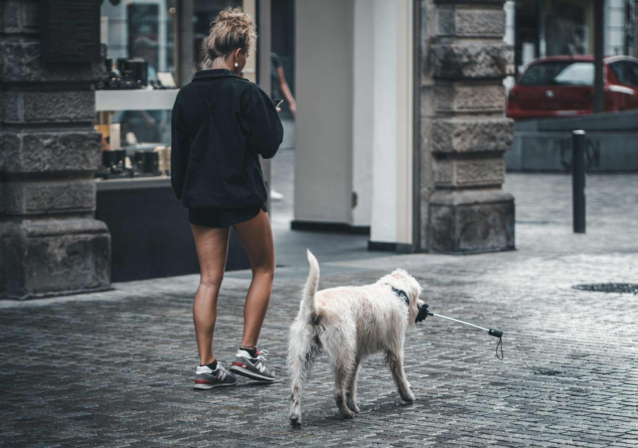 Fitness Goal Setting for Your Furry Friends: How Activity Monitors Can Help