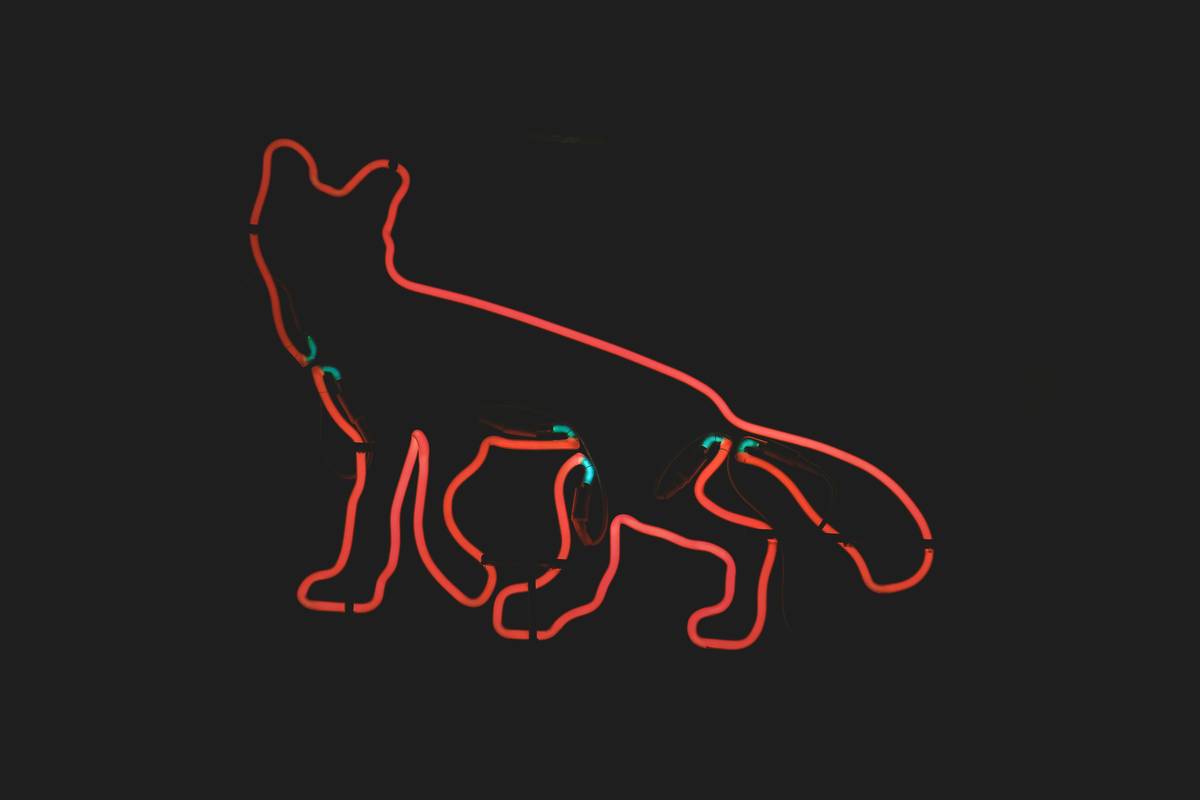 Maximize Your Pet’s Health with Automatic Pet Data Upload: The Ultimate Guide