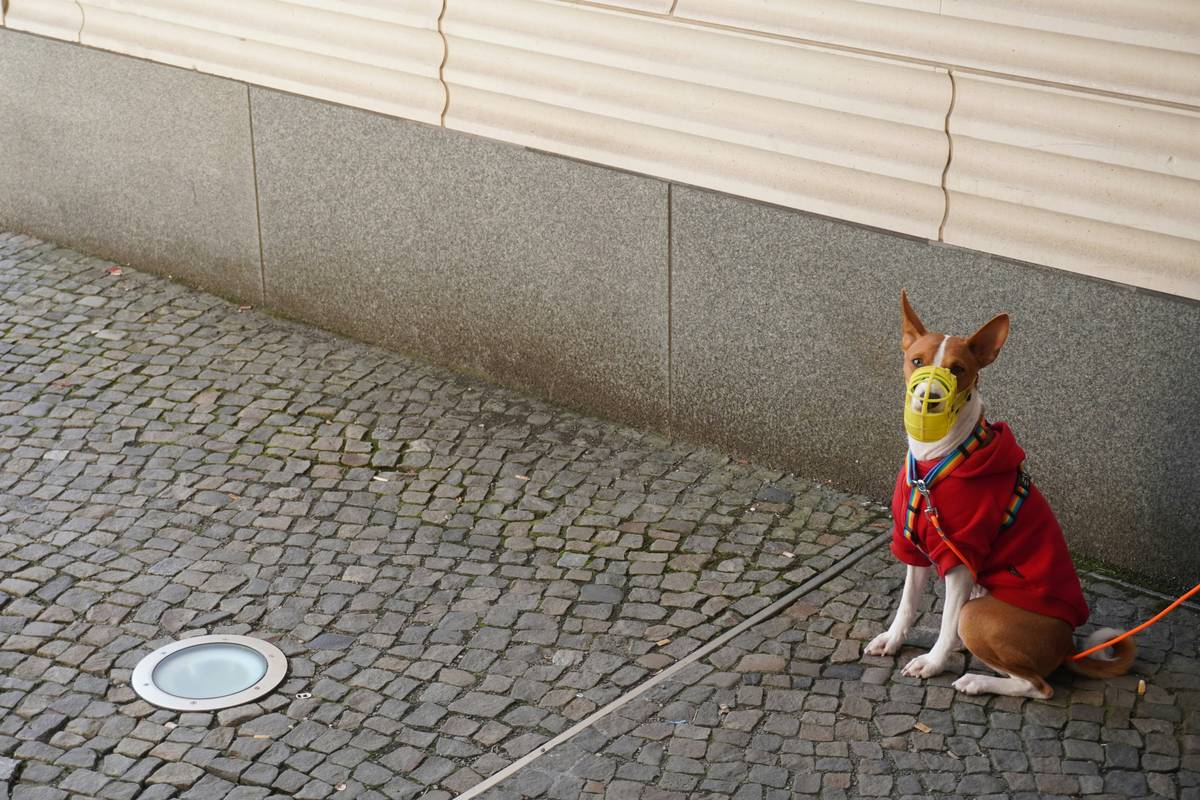 A happy woman hugging her dog after finding him using a GPS collar