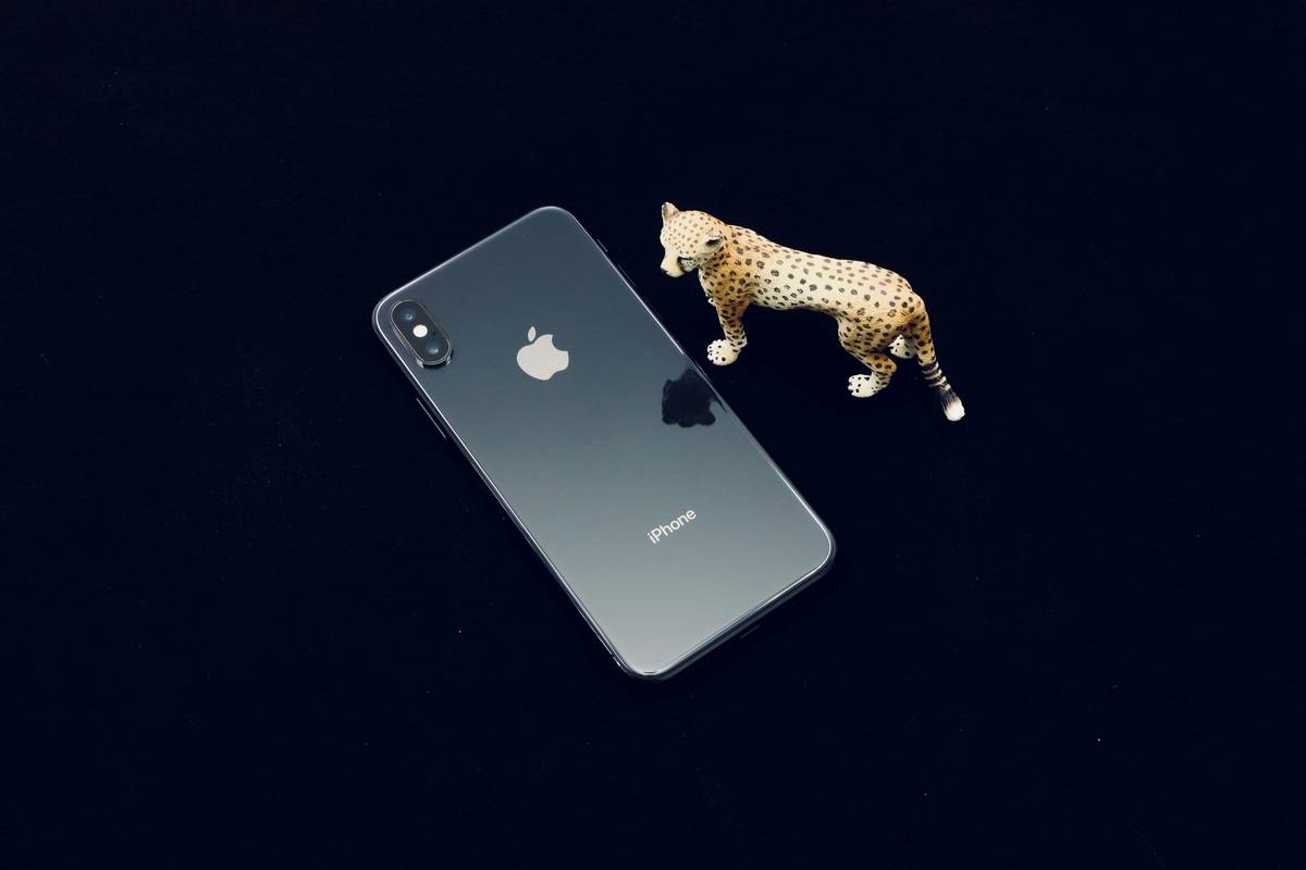 Why Every Pet Parent Needs a Pet Calorie Burn Tracker (Yes, Really)