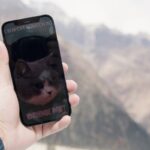 How to Choose the Best Pet Data Analytics Platform for Activity Monitors