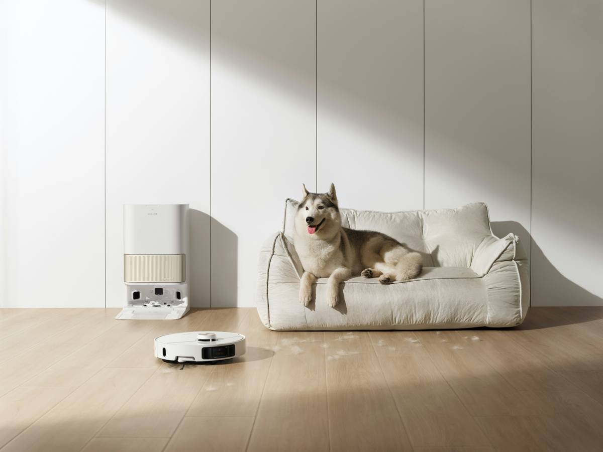 A sleek pet activity monitor clipped onto a dog collar.