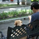 Maximizing Pet Monitor Data Accuracy: The Ultimate Guide for Smart Pet Owners