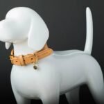 Why Every Pet Owner Needs a GPS Tracker Light Weight: Track, Protect, and Play!